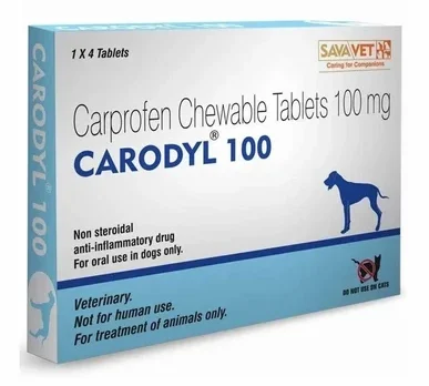 100mg-carprofen-chewable-tablets-500x500 Carodyl 75MgChewable Tablet (VETERINARY)