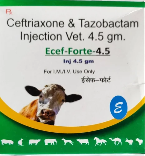 ecef-forte-injection-500x500 ECEF FORTE INJECTION (VETERINARY)