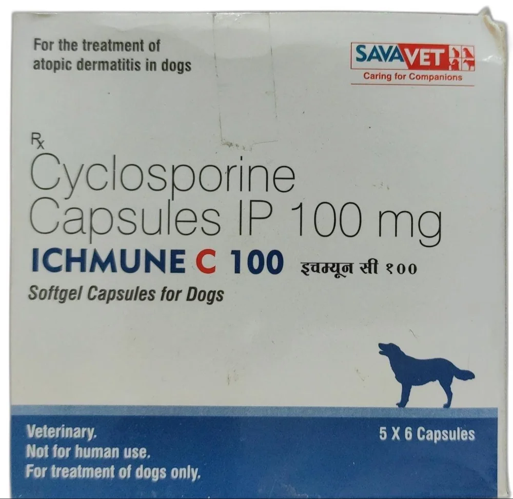 ichmune-c-100-1000x1000 ICHMUNE C 100Mg Tablet (VETERINARY)